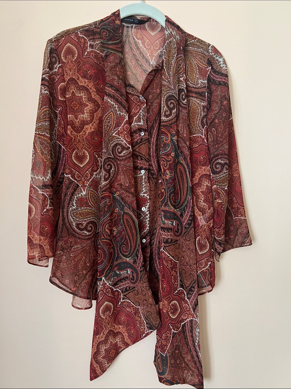 Zara button down sheer blouse - M